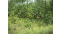 Lot 13 East Lakeshore Drive Birchwood, WI 54817 by Dane Arthur Real Estate Agency/Birchwood $9,500