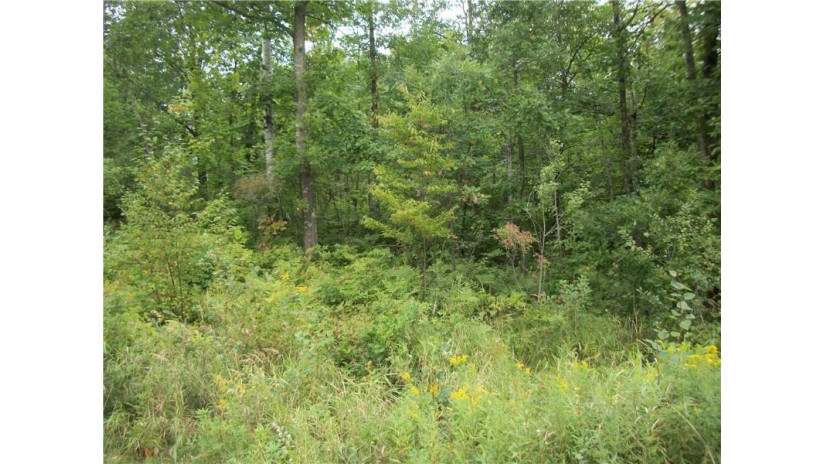 Lot 13 East Lakeshore Drive Birchwood, WI 54817 by Dane Arthur Real Estate Agency/Birchwood $9,500