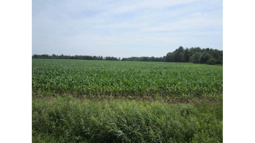 40 Acres Aspen Drive Edgar, WI 54426 by Coldwell Banker Action $150,000