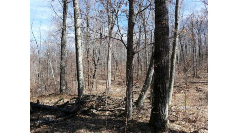 Lot 9 Mckenzie Path Spooner, WI 54801 by Art Anderson Realty $21,500