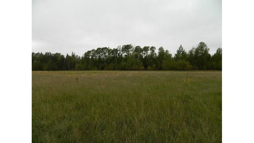 Lot 33 Skiers Lane Hayward, WI 54843 by Area North Realty Inc $27,900