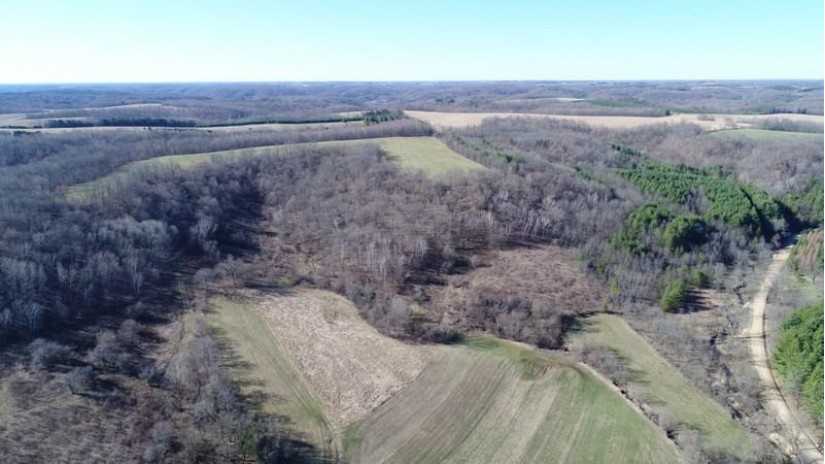 81 AC Hickory Hill Rd Bloom, WI 53581 by Wilkinson Auction & Realty Co. $300,000