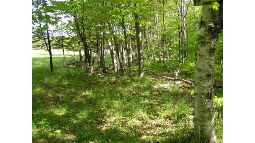 TBD Aznoe Rd Washington Island, WI 54246 by Gordons North Star Realty, Llc $129,000