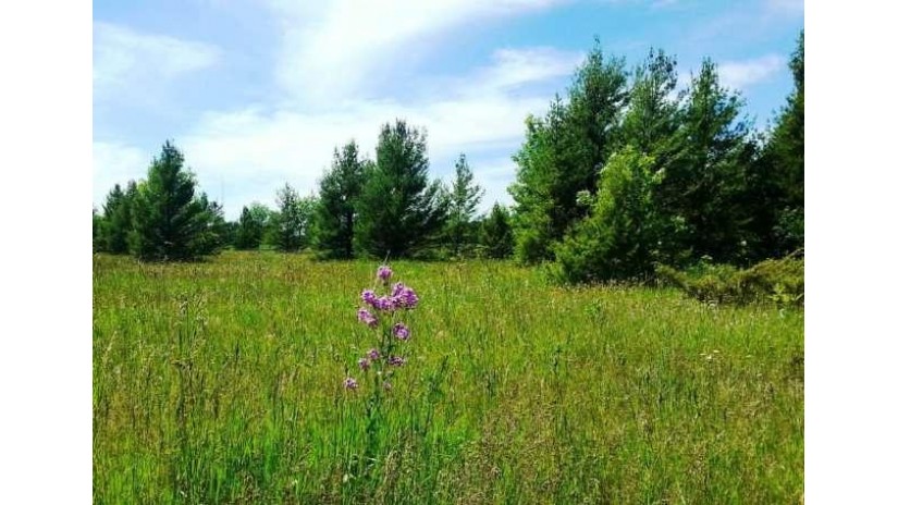 LOT C Lakeview Rd Ellison Bay, WI 54210 by Kellstrom-Ray Agency $64,900