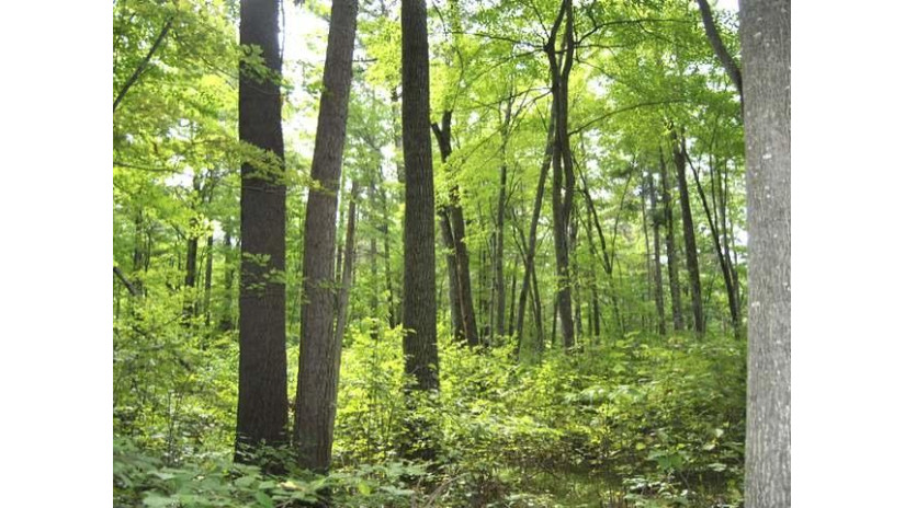 Lot 38 Sunset Dr Tomahawk, WI 54487 by Northwoods Community Realty, Llc $31,900