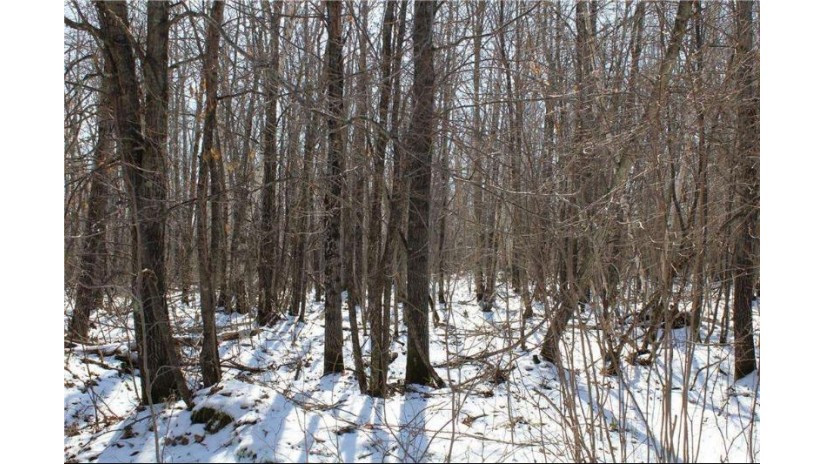 Lot 10 County Hwy A Highway Spooner, WI 54801 by Benson Thompson Inc $66,000