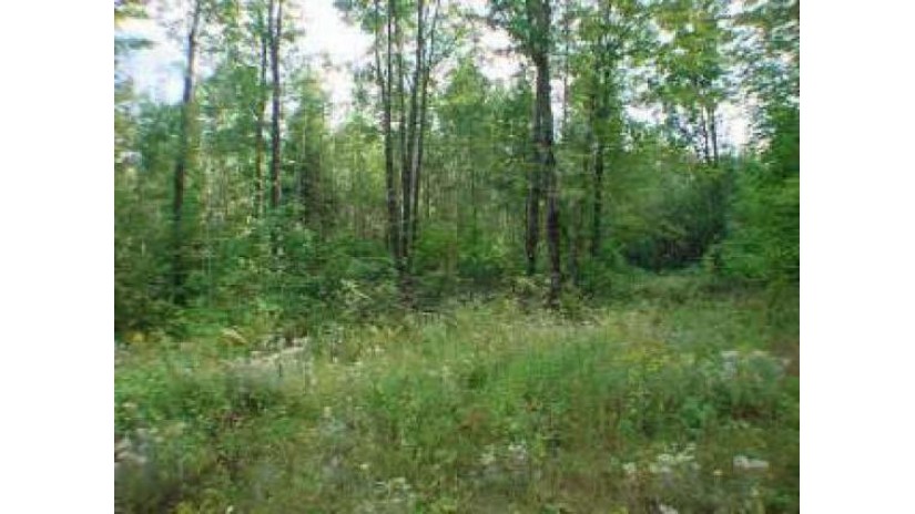 Lot 9 Sandy Cove Dr Park Falls, WI 54552 by Hilgart Realty Inc $11,320