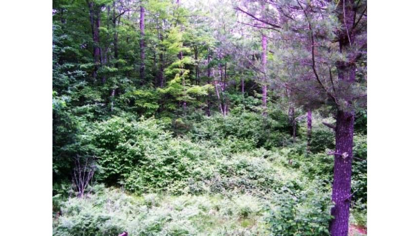 Lot 6 Woodchuck Ln Minocqua, WI 54548 by Re/Max Property Pros $22,900