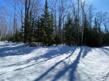 Lot 11 Old Elcho Rd, Enterprise, WI 54463