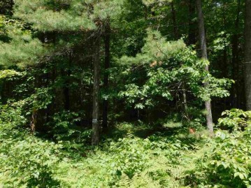 N1116 Spotted Fawn Trail, Menominee, WI 54135