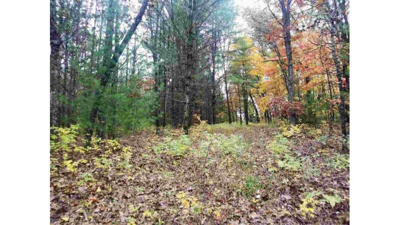 9.80 AC Eagle Ave New Chester, WI 53910 by Re/Max Preferred $45,000