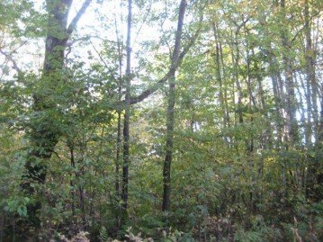 216152 Lyon Lane, Hatley, WI 54440