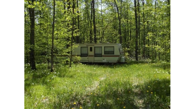 29.37 Ac Sipple Rd Nashville, WI 54520 by Century 21 Northwoods Team $55,000