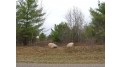 Lot 8 Sutton Rd Minocqua, WI 54548 by Redman Realty Group, Llc $34,500