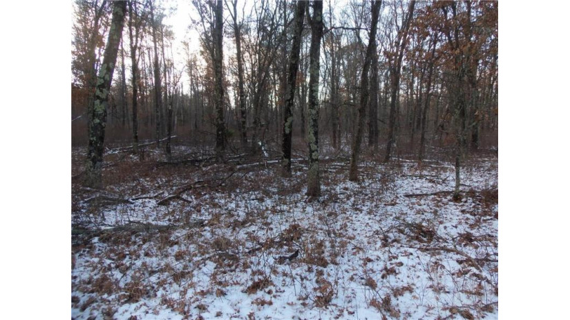 LOT 1 Spaulding Rd Road Grantsburg, WI 54840 by Woods & Water Real Estate Llc, Ellsworth $27,900