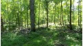 19 ACRES 90th St Street Balsam Lake, WI 54810 by Woods & Water Real Estate Llc, Ellsworth $79,900