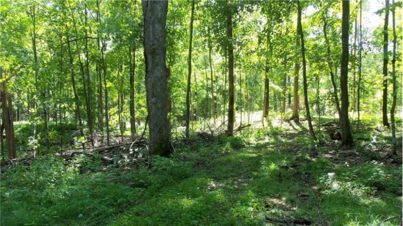 19 ACRES 90th St Street Balsam Lake, WI 54810 by Woods & Water Real Estate Llc, Ellsworth $79,900