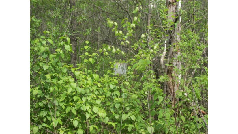 Lot #6 Somerset Place Birchwood, WI 54817 by Dane Arthur Real Estate Agency/Birchwood $7,500