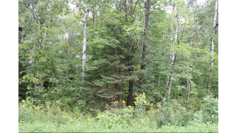 0 South Sam Anderson Road South Range, WI 54874 by Escher Real Estate $18,000