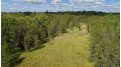 40 AC 18th Ave Quincy, WI 53934 by United Country Midwest Lifestyle Properties $99,900