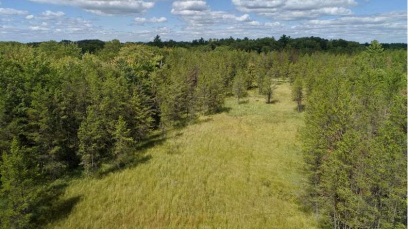 40 AC 18th Ave Quincy, WI 53934 by United Country Midwest Lifestyle Properties $99,900