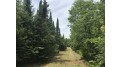 80 Acres Cth T Somo, WI 54564 by Lakeland Realty $89,900