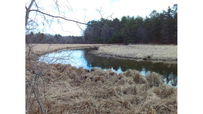 On Koolish Rd Minocqua, WI 54548 by Coldwell Banker Mulleady - Mnq $44,500