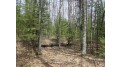 On American Eagle Ct Lot 9 Lake Tomahawk, WI 54539 by First Weber - Minocqua $15,000