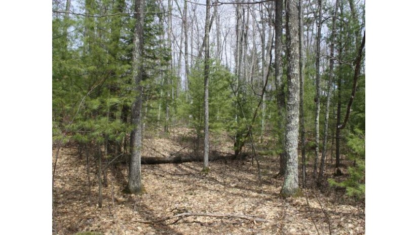 On American Eagle Ct Lot 9 Lake Tomahawk, WI 54539 by First Weber - Minocqua $15,000