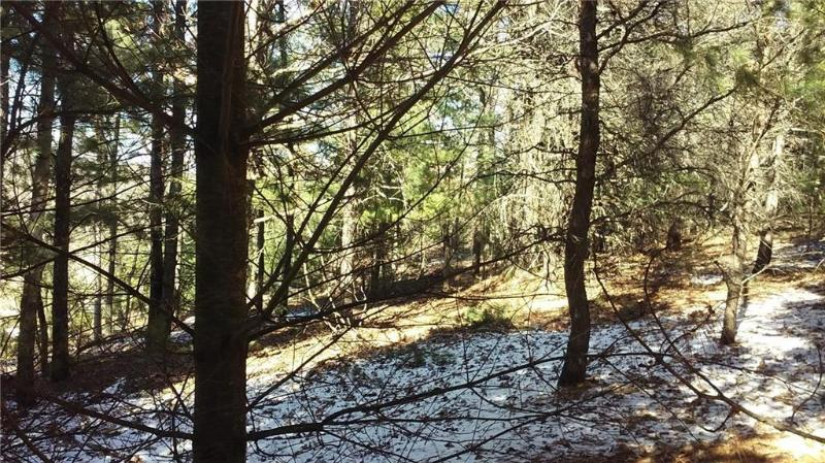 Lot 51 Skylight Terrace Terrace Danbury, WI 54830 by Voyager Village Realty Llc $3,995