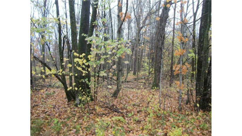 Lot #47 Lakeshore Circle Circle Birchwood, WI 54817 by Dane Arthur Real Estate Agency/Birchwood $8,500