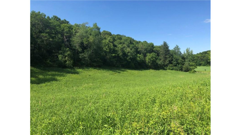 N32383 Larkin Valley Road Blair, WI 54616 by Riverbend Realty Group, Llc $165,000