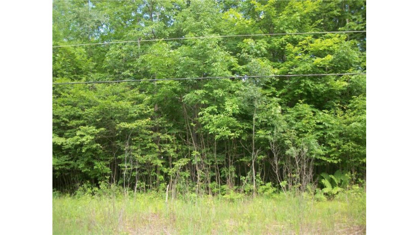 Lot #40 Loch Lomond Birchwood, WI 54817 by Dane Arthur Real Estate Agency/Birchwood $7,500