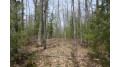 LOT 9 ON American Eagle Ct Lake Tomahawk, WI 54539 by First Weber Inc $15,000