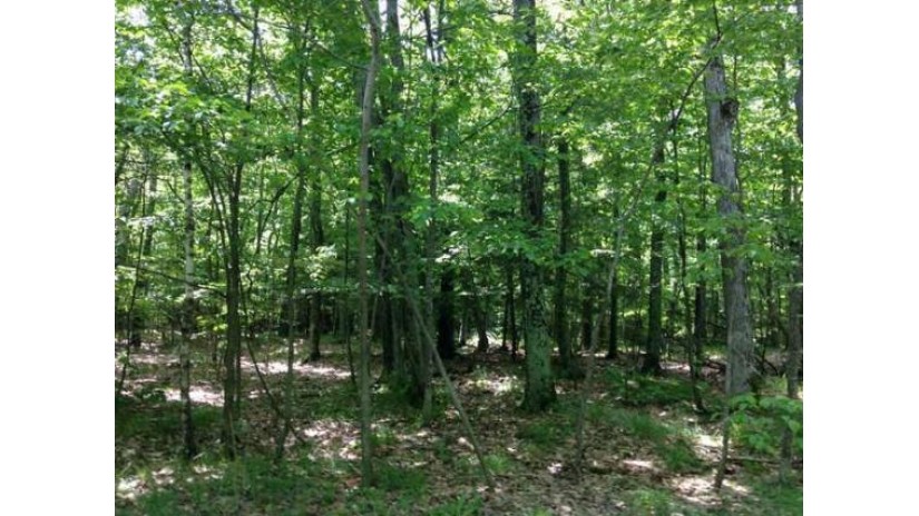 5 ACRES Chambers Island Fish Creek, WI 54212 by True North Real Estate Llc $34,900