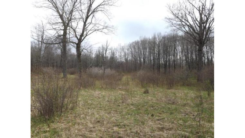 On Porcupine Lake Rd E Lot 6 Tipler, WI 54542 by Century 21 Burkett & Assoc. $14,500