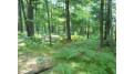 Lot 59 Emden Lake Rd Rhinelander, WI 54501 by First Weber - Rhinelander $24,000