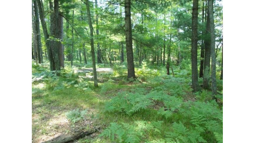 Lot 59 Emden Lake Rd Rhinelander, WI 54501 by First Weber - Rhinelander $24,000