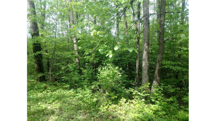 Lot 2 Price Dam Road Winter, WI 54896 by Northwest Wisconsin Realty Team $45,000