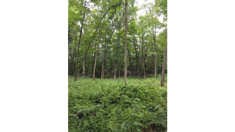 Lot 0 Woodridge Drive Drive Chippewa Falls, WI 54729 by Cb Brenizer/Chippewa $119,000