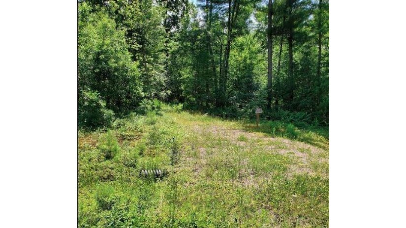 Lot 14 Halls Creek Estates Estates Merrillan, WI 54754 by Clearview Realty Llc $27,500