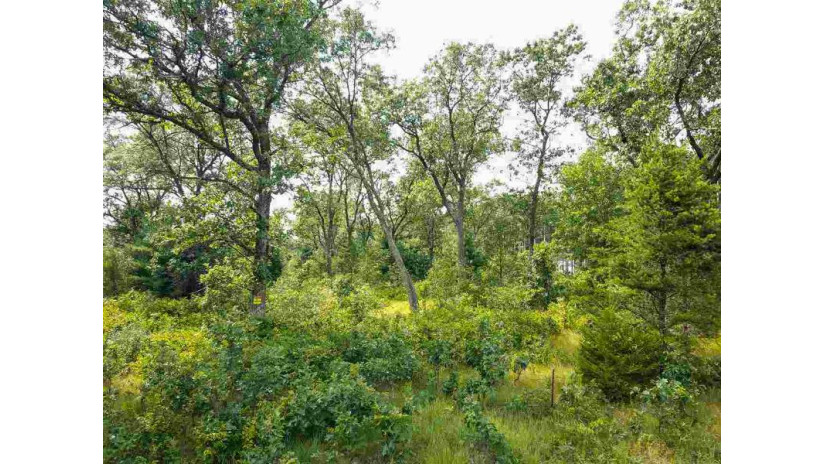 39.77 AC Fern Ave Springville, WI 53936 by Castle Rock Realty Llc $140,000