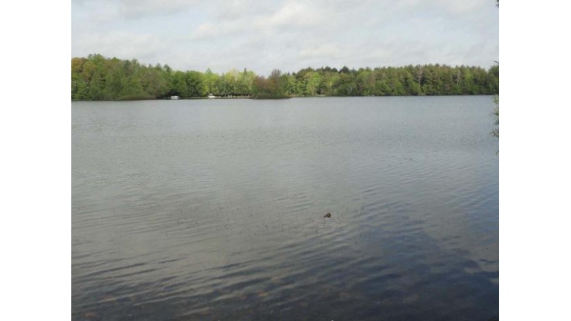 Lot On Bluebird Alley Otter Lake Elcho, WI 54428 by Century 21 Northwoods Team $89,900