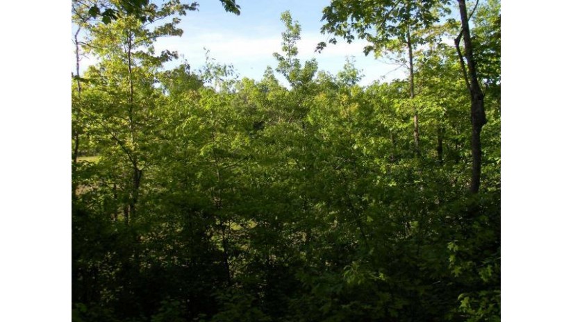 On Cliffs Tr Boulder Junction, WI 54512 by Re/Max Property Pros $42,500