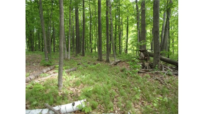 Lot#10 2 1/2 Cumberland, WI 54829 by Timber Ghost Realty Llc $157,600