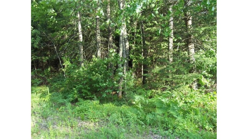 50290 Blue Moon Road Drummond, WI 54832 by Lakes Area Realty/Hudson $20,000