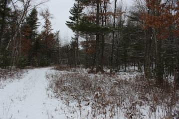 Lot #3 Halls Creek Ct Court, Merrillan, WI 54754