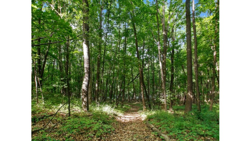 LOT 50 Preserve Dr Lafayette, WI 53121 by Keefe Real Estate, Inc. $50,000