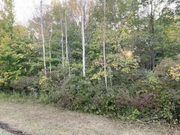 LOT 19 Hickory Dr, Greenbush, WI 53023