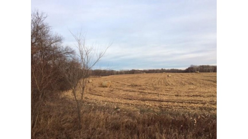 Lot 11 57th Avenue Osceola, WI 54020 by Re/Max Synergy/Osceola $35,900